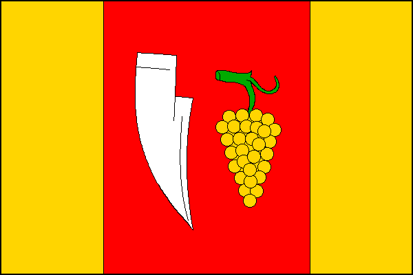 city flag
