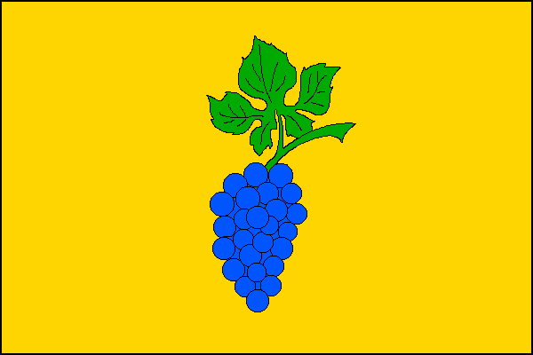 city flag