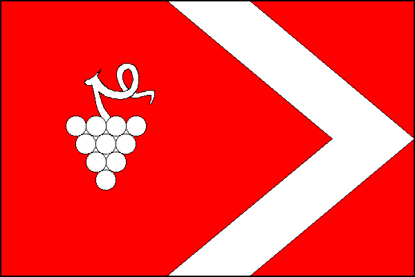 city flag
