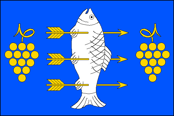 city flag