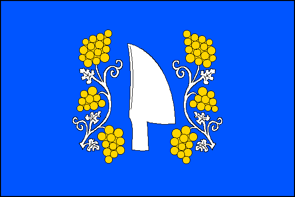 city flag