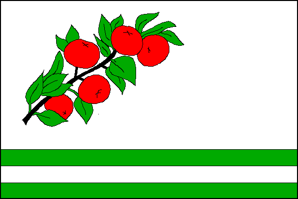 city flag