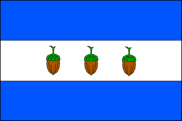 city flag