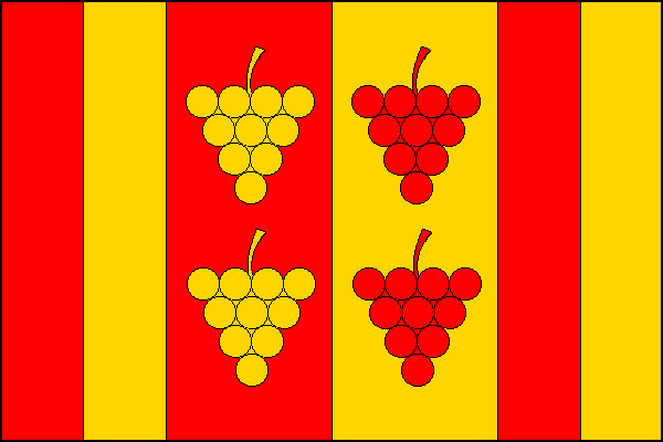 city flag