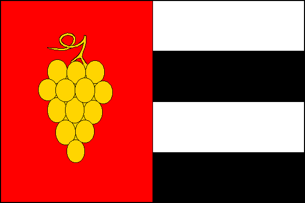 city flag