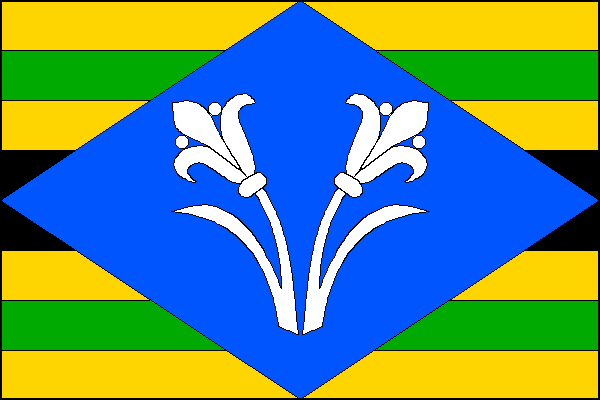 city flag