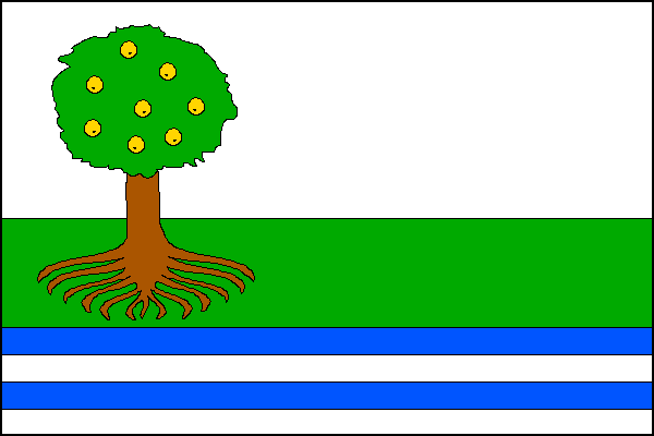 city flag