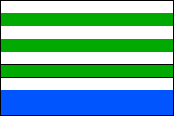 city flag