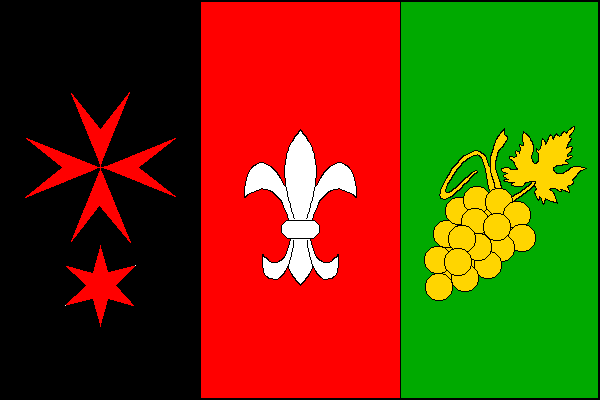 city flag