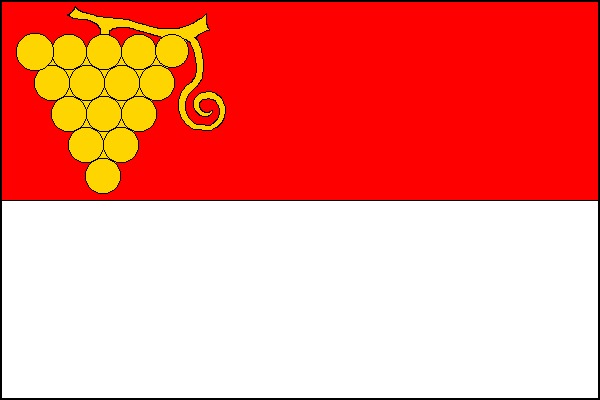 city flag