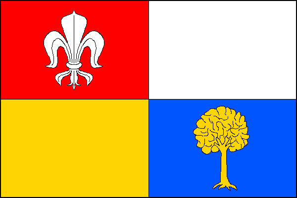 city flag