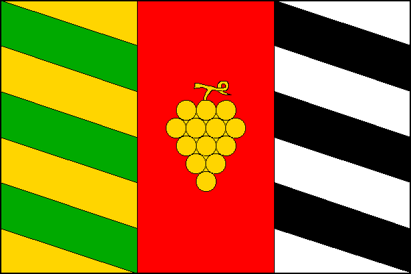 city flag