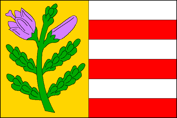 city flag