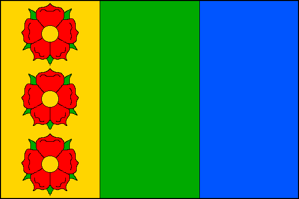 city flag