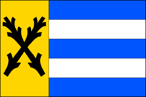 city flag