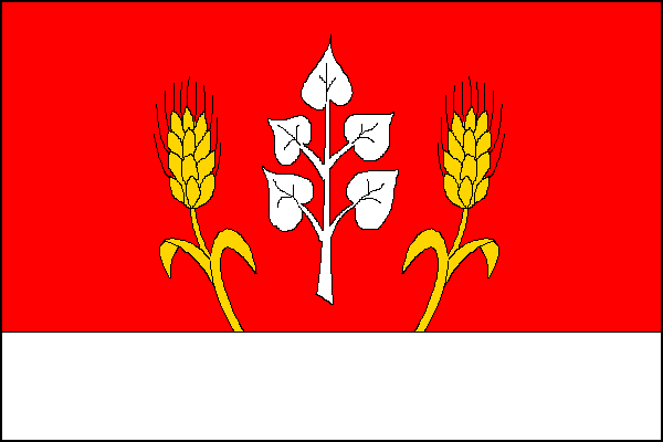 city flag