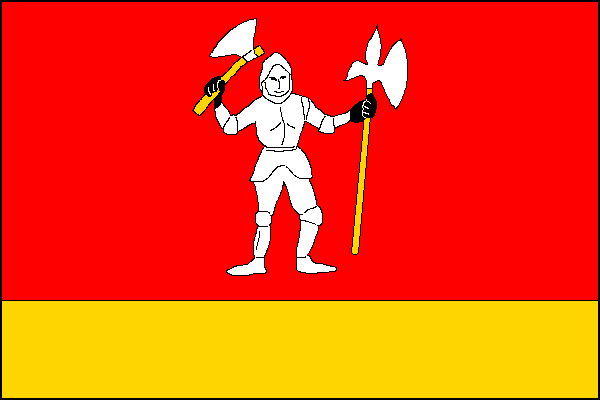 city flag