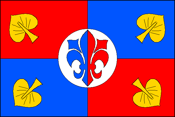 city flag