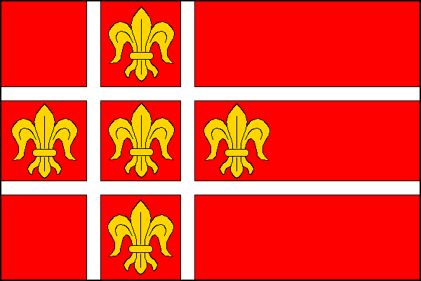 city flag