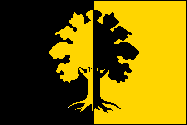 city flag