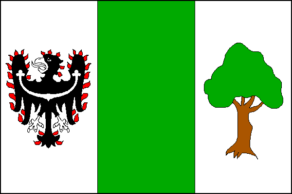 city flag