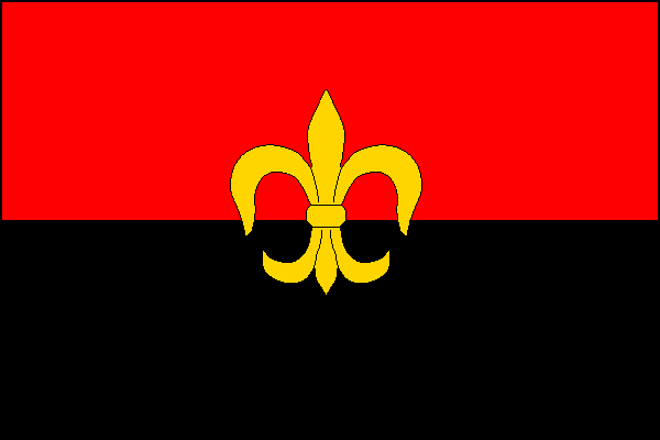 city flag