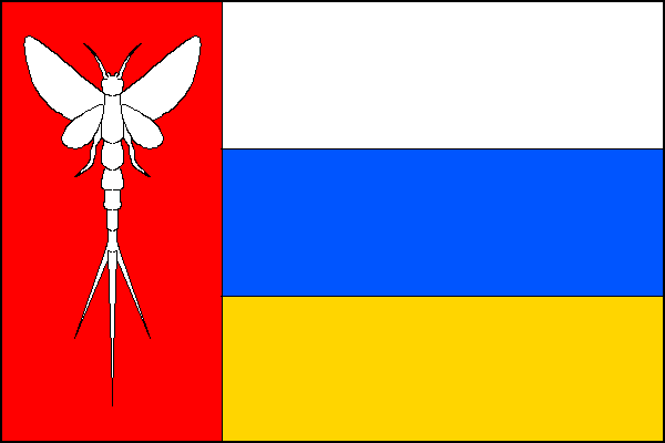 city flag