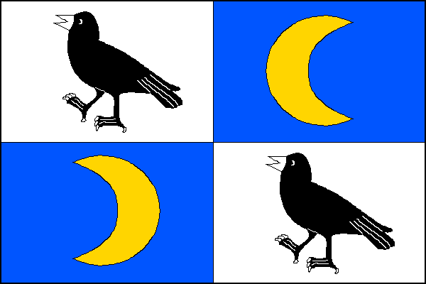 city flag