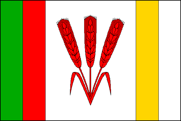 city flag