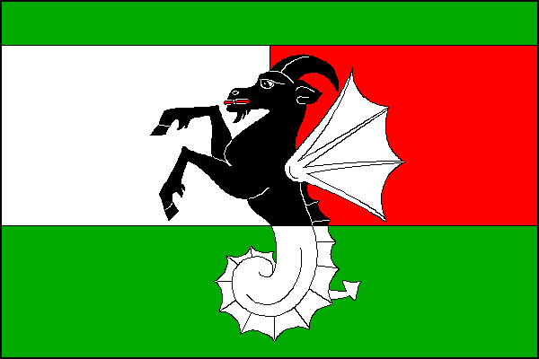 city flag