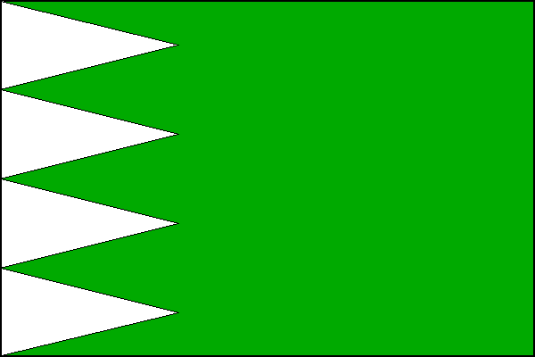 city flag