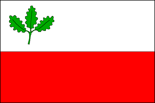city flag