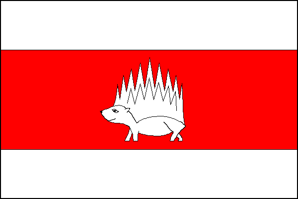 city flag