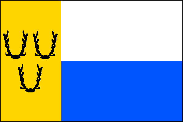 city flag