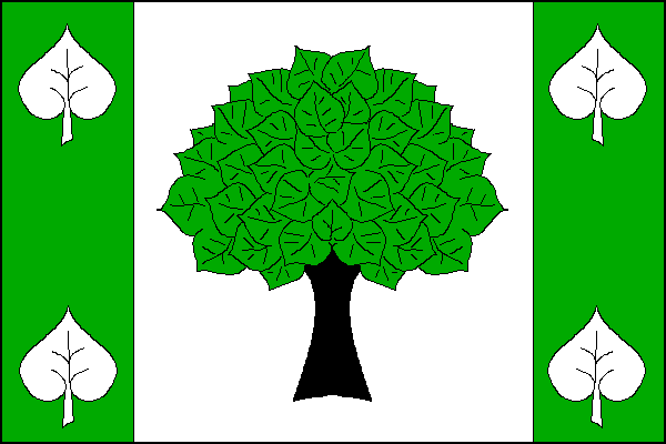 city flag