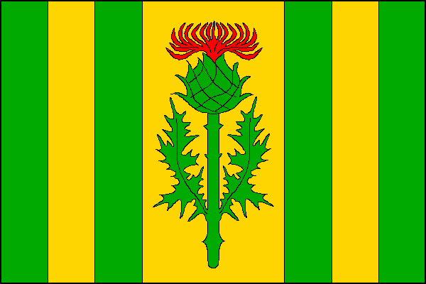 city flag