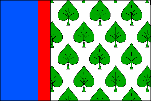 city flag