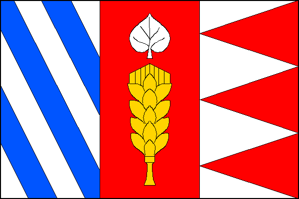 city flag