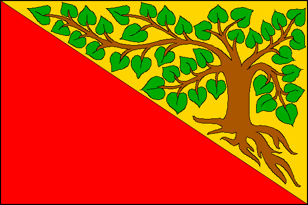 city flag