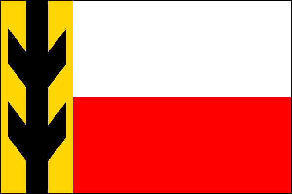 city flag