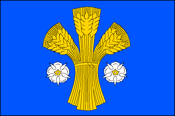 city flag