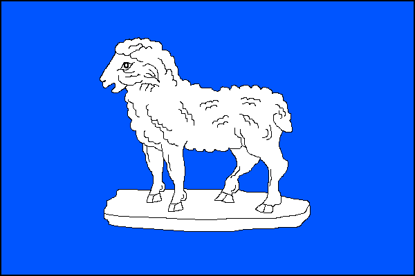 city flag