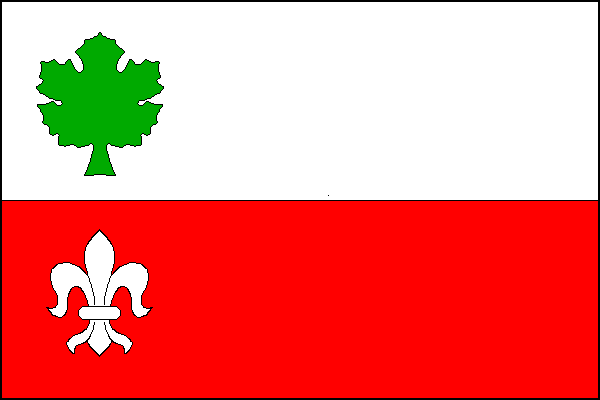 city flag