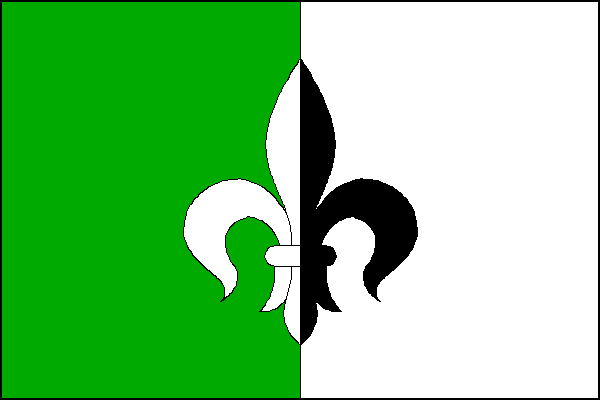 city flag