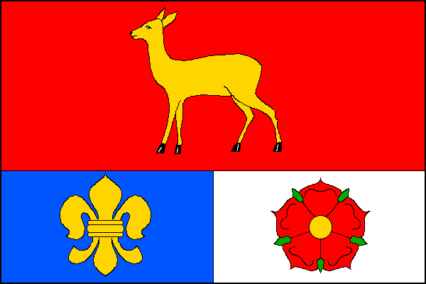 city flag