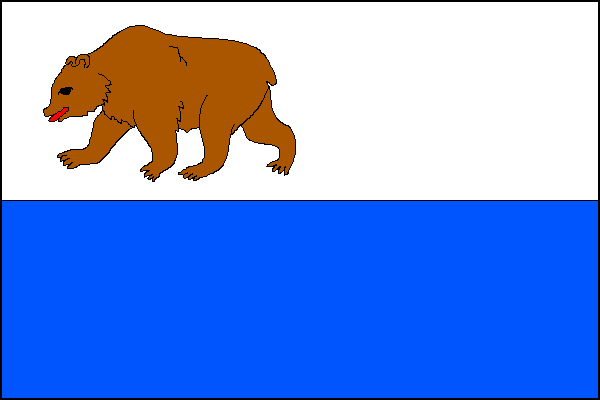 city flag