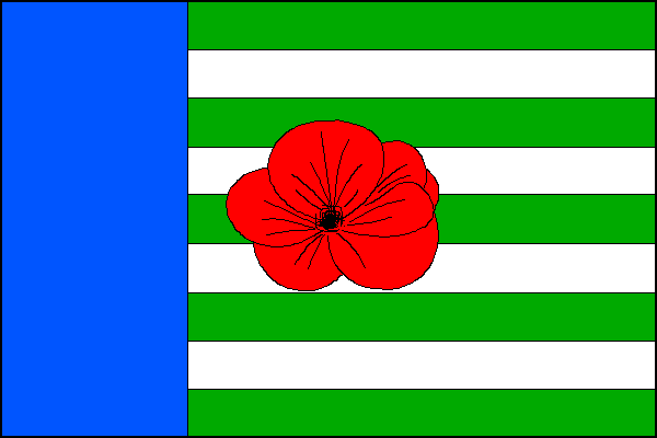 city flag