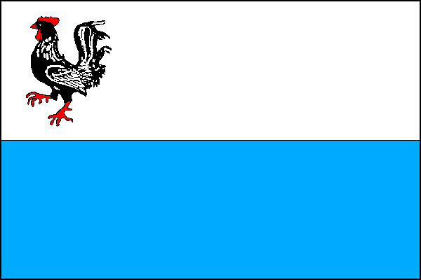 city flag