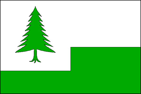 city flag