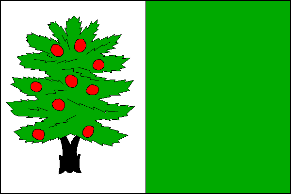 city flag